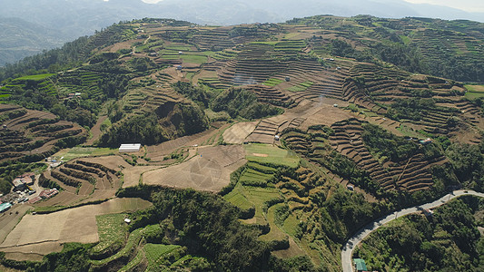 菲律宾一个山区省吕宋的农场 农地植物场景旅行土地农业阳台顶峰绿色爬坡悬崖图片