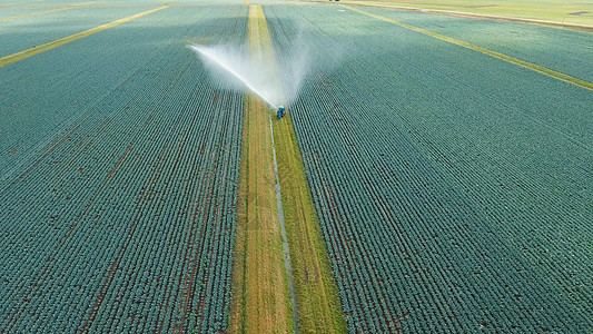 农田灌溉系统技术乡村农场农业植物生长场地鸟瞰图绿色洒水器图片