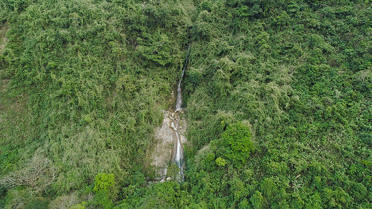 山上的瀑布绿色流动风景环境溪流热带森林叶子图片