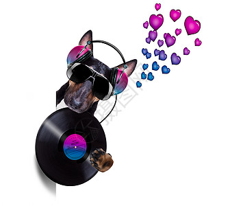 dj 迪斯科舞蹈音乐狗音乐播放器玩家磁带舞蹈夜生活唱机镜子迪厅技术夜店图片
