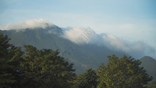 山地和天空的风景 卡米甘岛木头绿色阳光植物环境天堂荒野森林顶峰叶子图片