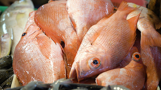 亚洲市场的鱼类零售街道店铺团体海洋销售食物海鲜热带图片