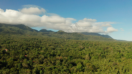 覆盖着雨林的山地 菲律宾 卡米甘植被顶峰公园爬坡天线木头丛林森林风景旅行图片