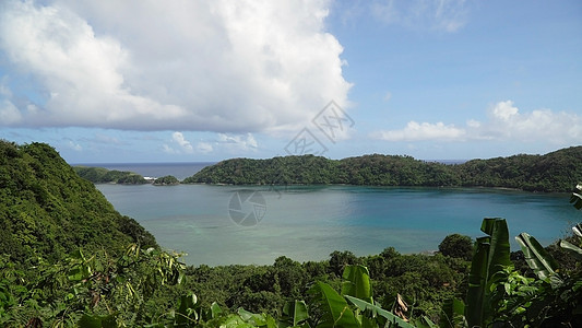 热带环礁湖 海 海滩 热带岛屿 菲律宾卡坦迪昂群岛海岸线天空场景棕榈衬套旅行旅游丛林假期海岸图片