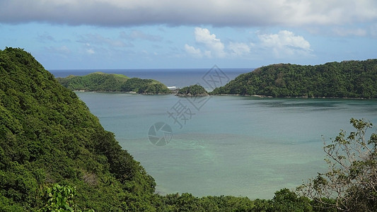 热带环礁湖 海 海滩 热带岛屿 菲律宾卡坦迪昂群岛丛林支撑石头场景棕榈海景木头晴天假期岩石图片