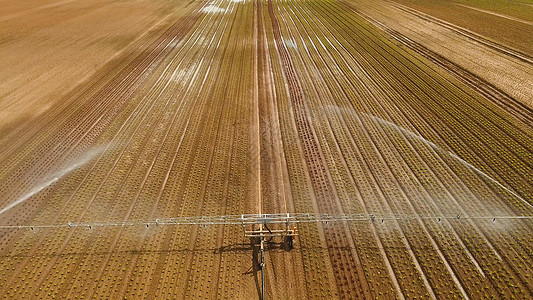 农田灌溉系统技术植物洒水器农业场地沙拉机器农场绿色鸟瞰图图片