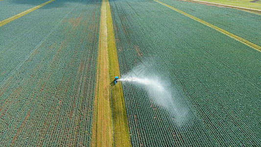 农田灌溉系统场地洒水器技术绿色农业机器农场生长鸟瞰图植物图片
