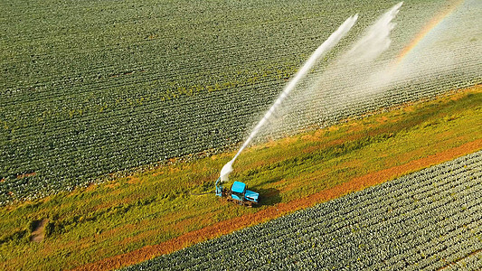 农田灌溉系统场地植物农业洒水器鸟瞰图机器生长绿色技术乡村图片