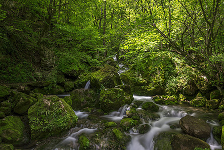 保加利亚山脉的河流 保加利亚山旅游瀑布木头岩石森林荒野风景溪流环境公园图片