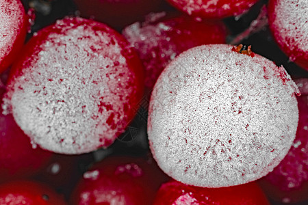整个框架宏中冻结的果子 用于整个框架宏浆果红色甜点白色饮食水果背景图片