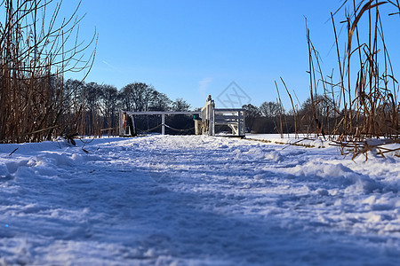 在德国阳光明媚的一天 雪在冰冻湖边覆盖了木制码头海岸蓝色新雪旅游旅行木头国家探索天空地平线图片