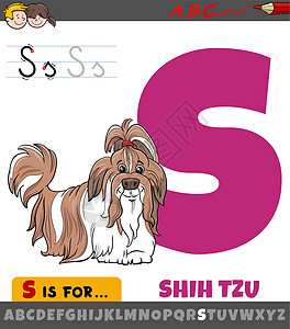 字母 S 工作表与卡通西施犬纯种做图片