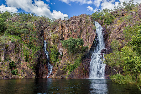 wangi 瀑布  利奇菲尔德国家公园 n 澳大利亚地区鳄鱼自然界国家飞禽领地地景荒野土地自由人图片