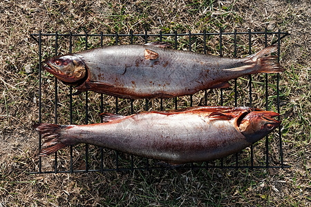 鱼的烧烤 腐蚀性鱼类 性质恶劣的动物壁炉网格营养沙拉炙烤脂肪酸盘子饮食美食食物图片