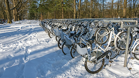 冬季荷兰国家公园上有许多雪地自行车图片