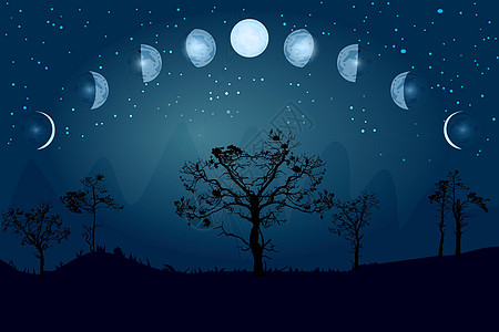 月相 从新月到满月的整个周期星星月光新月死亡八字十二生肖插图时间行星阴影图片