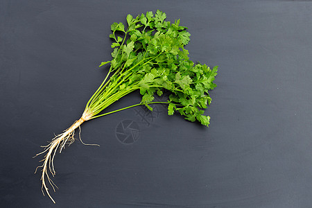 黑暗背景上新鲜的香肠花园树叶营养叶子小枝蔬菜沙拉种子食物香菜图片