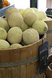 在市场上出售展示的Cantaloupe甜瓜饮食营养食物香瓜项目团体销售热带水果西瓜图片