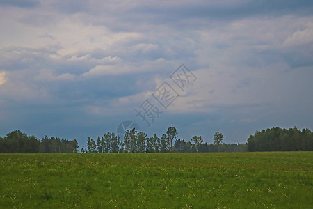下雨前在黑暗的天空里放绿地蓝色农业晴天草地阳光农村天气地平线太阳季节图片
