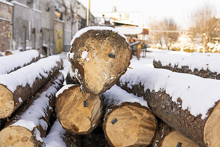 在冬季雪层下 锯木厂上堆成的木头树木日志林业树干季节材料木材木工环境记录图片