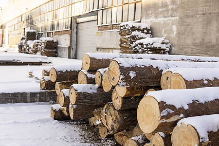 在冬季雪层下 锯木厂上堆成的木头柴堆树木木工材料日志森林林业松树树干记录图片