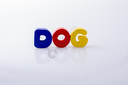 以多彩字母块写成的 DOG 单词狗窝猎犬宠物朋友兽医犬类爪子小狗野生动物图片