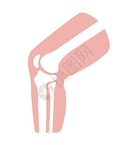 膝关节部分它制作图案插图治疗疼痛伤害股骨骨头肌肉髌骨解剖学科学图片