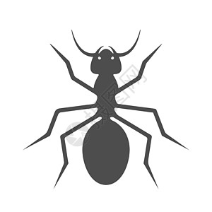 蚂蚁 用于主题设计和装饰的小插图图片