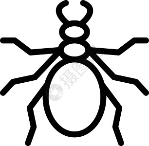 蚂蚁野生动物卡通片漏洞动物白色害虫甲虫艺术昆虫荒野图片