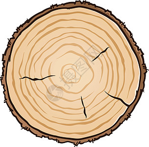 木片与年龄环矢量它制作图案木工戒指生长木材圆圈材料树桩记录树干裂缝图片