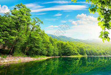 黑山Biogradsko湖图片
