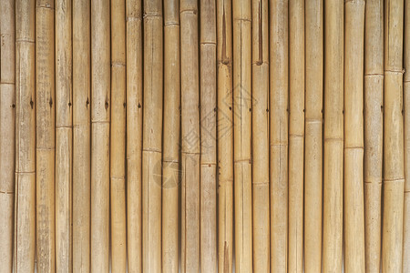 长旧木墙抽象纹理背景松树桌子风格装饰木工框架木地板墙纸风化栅栏图片