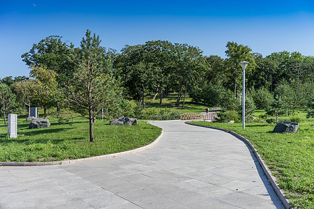在现代密密密的公园中 一条有绿树和木桥的道路图片
