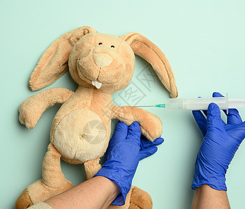 双只兔子和两只女性手 一名医生在蓝色背景下注射针剂注射器治疗手套儿科疾病医院创伤疫苗药品动物图片