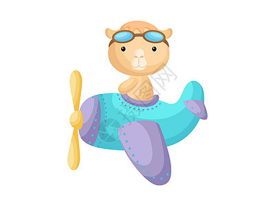 小骆驼戴着飞行员护目镜驾驶飞机 有趣的婴儿角色在飞机上飞行贺卡婴儿淋浴生日邀请室内 孤立的卡通矢量它制作图案装饰冒险庆典孩子卡通图片