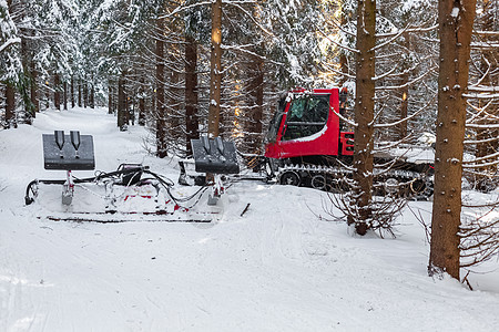 冬季雪林中的红色雪车图片