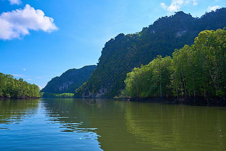 蓝色河流红树林间纯自然景观河流的风貌假期木头爬坡岩石环境反射池塘旅游天空国家背景