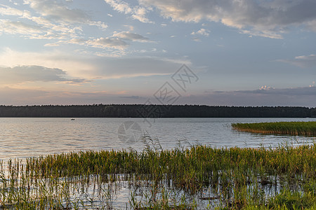 波兰奥古斯托的比阿莱湖天空日落松树树木支撑蓝色森林场景白色灌木丛图片