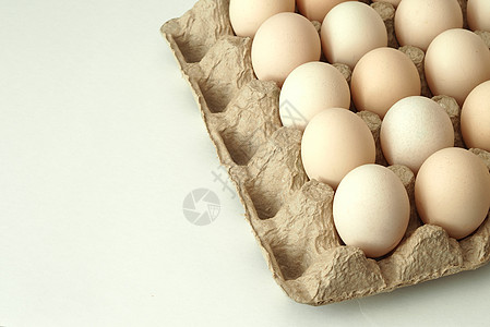 鸡蛋鸡蛋 在包装的自制生化鸡蛋里产品孵化器饲养场熟食画幅农业白色盒子托盘饮食图片