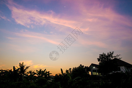 清晨的房屋和树木的轮光日落天空孤独场景阳光乡村风景农村图片