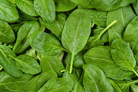 新鲜 绿色菠菜叶作为背景最上视图饮食沙拉蔬菜农业植物素食食物茶点生活方式健康图片