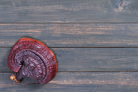 木板上紧贴的林芝蘑菇纤维草本蔬菜菌类食物农业医疗农场上漆灵芝图片
