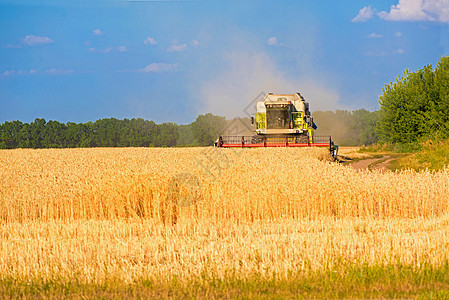 收获小麦田作业的收割机粮食机器场景面包农民机械腹地拖拉机大麦日落图片