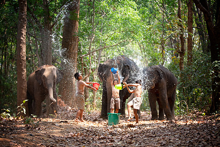 亚洲精神 泰国乡村农夫和大象在日出的背景下 亚洲文化日落国家农业阴影环境旅游象牙女士天空旅行图片