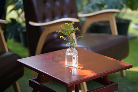 在咖啡馆装饰锅炉的绿植物叶装潢花盆生长绿色盆栽树叶叶子玻璃房间风格图片