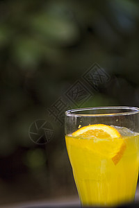 橙汽水在一个晶玻璃杯中加一块天然橙子苏打杯子口渴食物液体玻璃饮料水晶气泡酒精图片