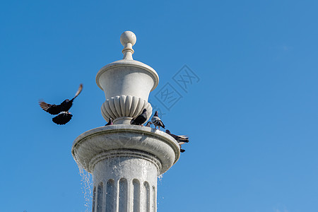 喷泉里的鸽子建筑学蓝色天空旅游观光白色水平照片荒野蓝天背景图片