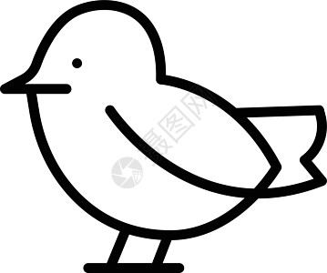 鸽子航班动物群绘画野生动物鹦鹉线条设计动物插图平面图片