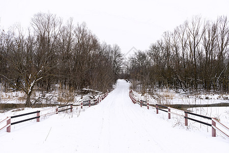 在雪覆盖的森林中横渡河流的冬季道路天气行人途径孤独踪迹场景状况地球木头公园图片