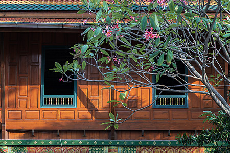 泰国在泰国的泰国传统木屋建筑 校对 Soup旅游花园假期国家农村地标艺术木头植物房子图片